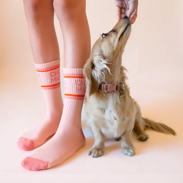 Dog Mom & Cat Lady Socks