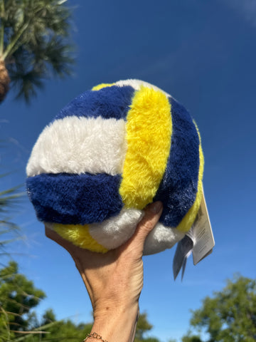 Warmies Volleyball
