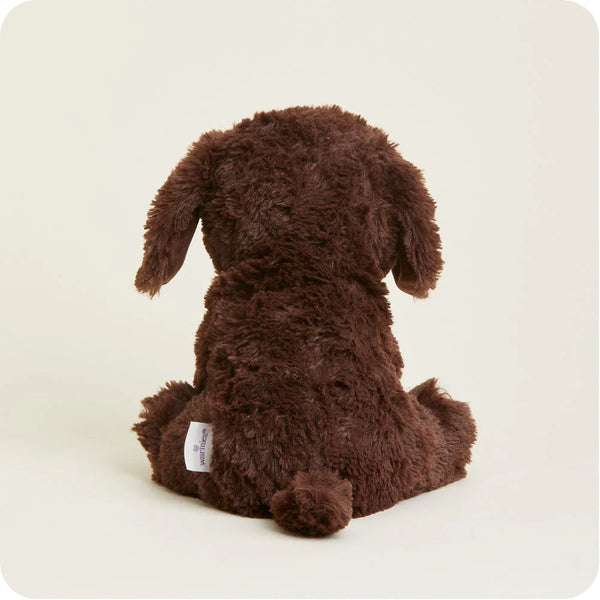 Chocolate Labrador Warmies
