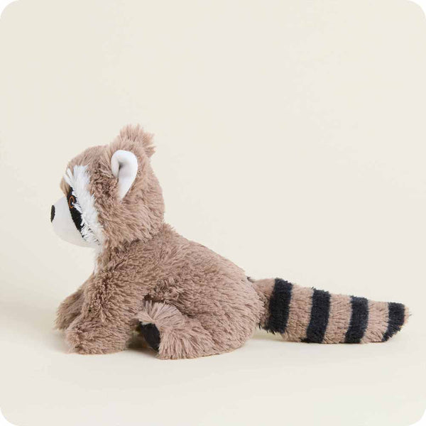 Raccoon Warmies Junior