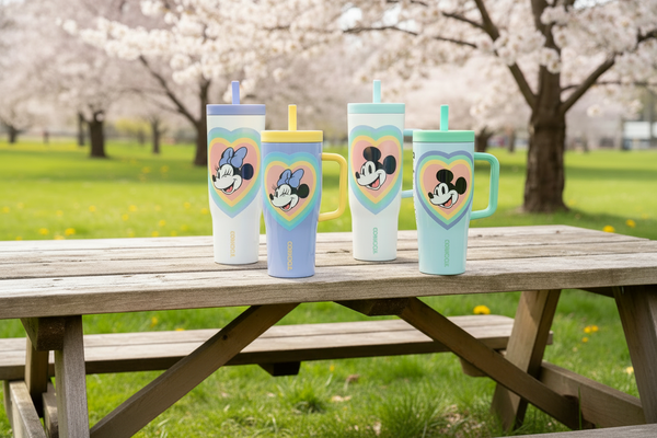 Retro Rainbow Disney Corkcicle Cruiser 40oz