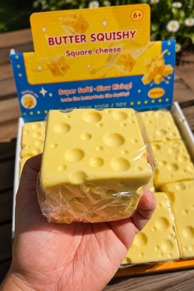 Cheese Squishy Fidget Toy for Stress Relief (2 options)
