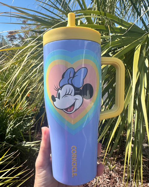 Retro Rainbow Corkcicle 22oz Cruiser