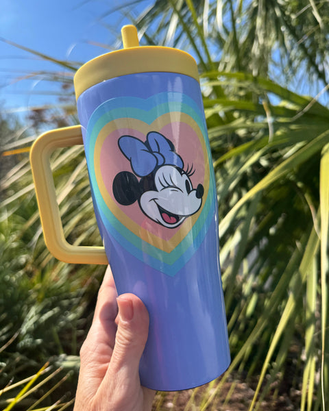 Retro Rainbow Corkcicle 22oz Cruiser