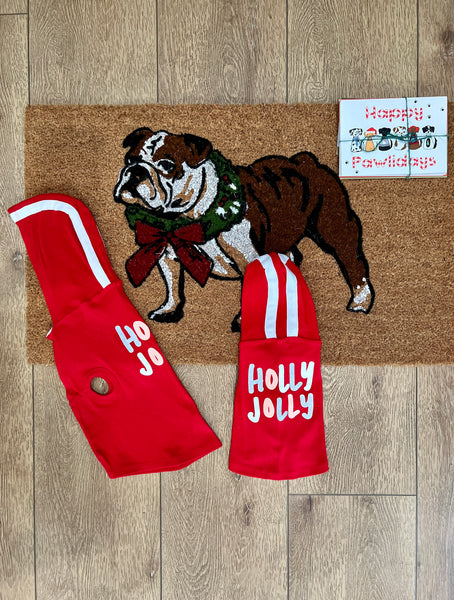 Holly Jolly doggy hoodie